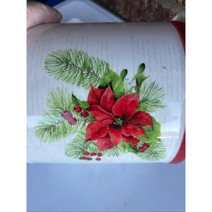 Envogue Christmas flower canister Holiday Collection White red green (minor scuf